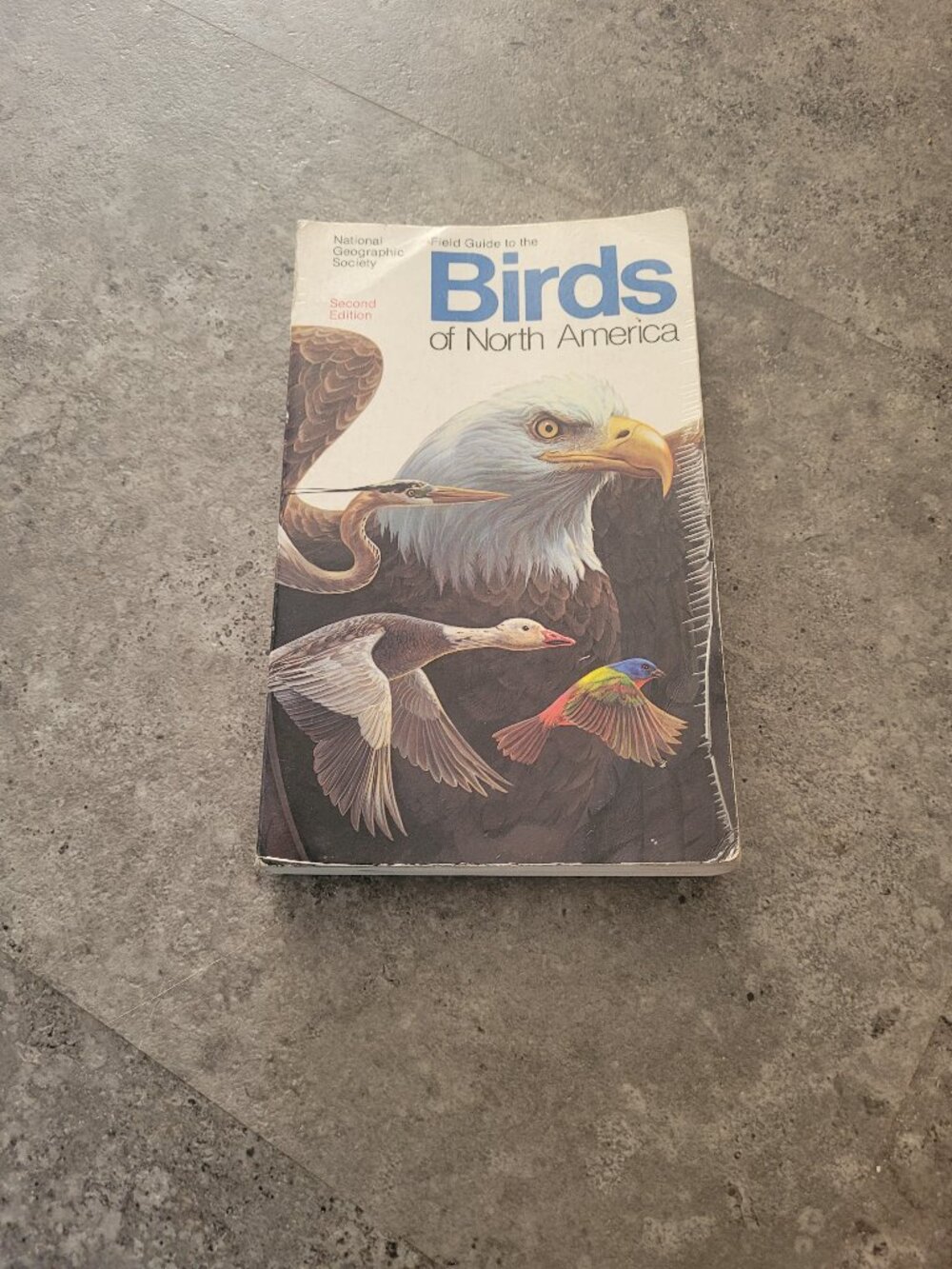 National Geographic Field Guide to the Birds of North America 2nd Edition PB